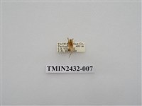 藏品(六點苔蛾)的圖片